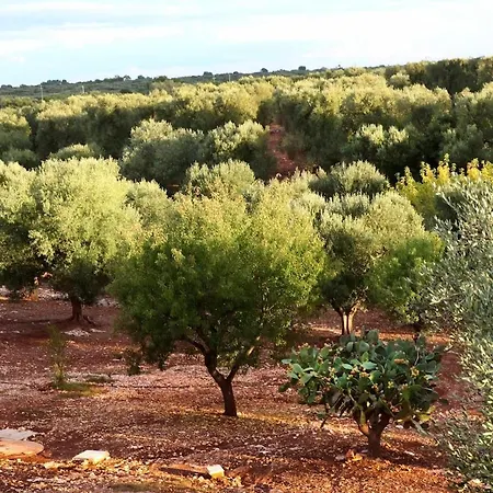 فيلة With Pool At Ostuni كاروفينيو