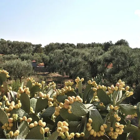 With Pool At Ostuni فيلة