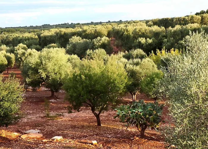 וילה With Pool At Ostuni קרוביניו